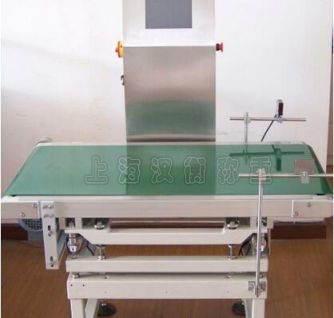 生產(chǎn)車(chē)間專(zhuān)用流水線皮帶秤